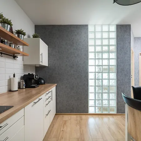 Apartment Wola Jana Kazimierza Chic